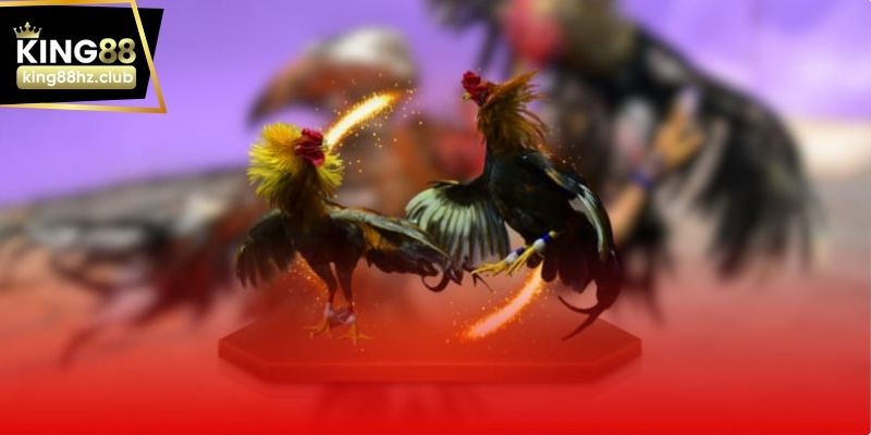 Trận gà cựa dao Philippin với nhịp thi đấu nhanh và đối kháng cao