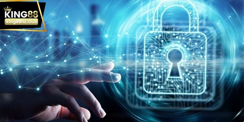 Quy trình thu thập và sử dụng dữ liệu theo chính sách bảo vệ King88